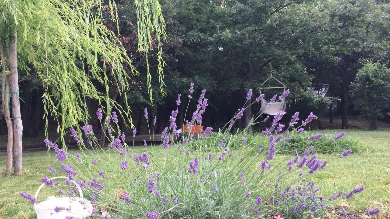 Vieniacasaccadia住宿加早餐旅馆 外观 照片